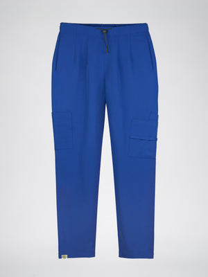 Blue Horse